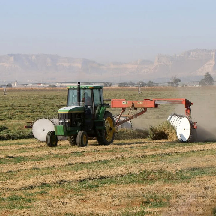 Accurately testing hay takes time and money. However, the value of this information is critical in accurately and cost-effectively formulating rations.