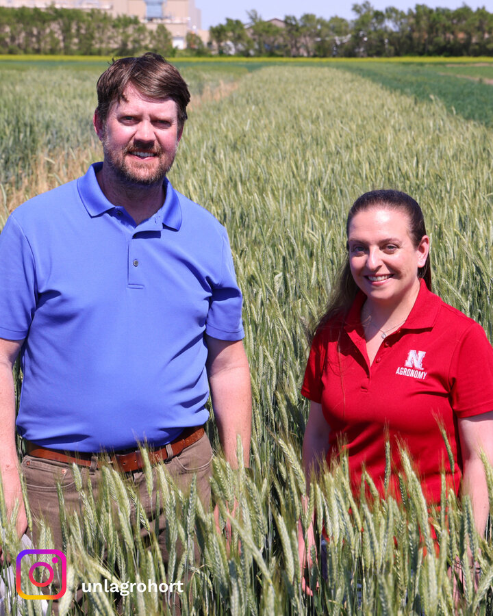 Man in blue polo shirt and woman in red polo shirt stand in wheat field.