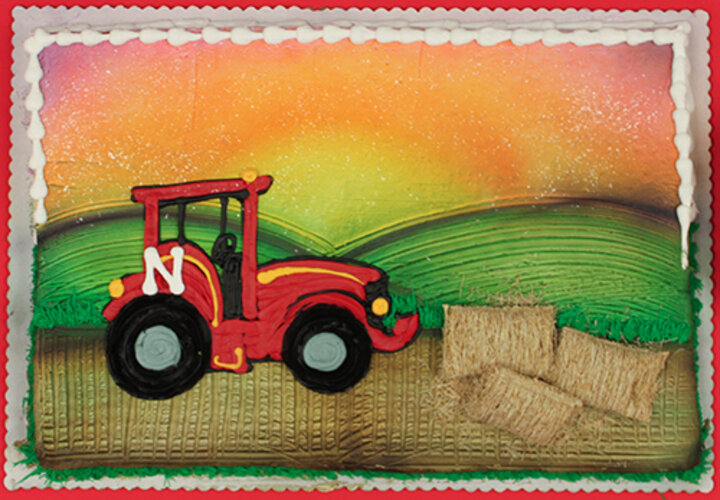  Thomas H. Goodding cake