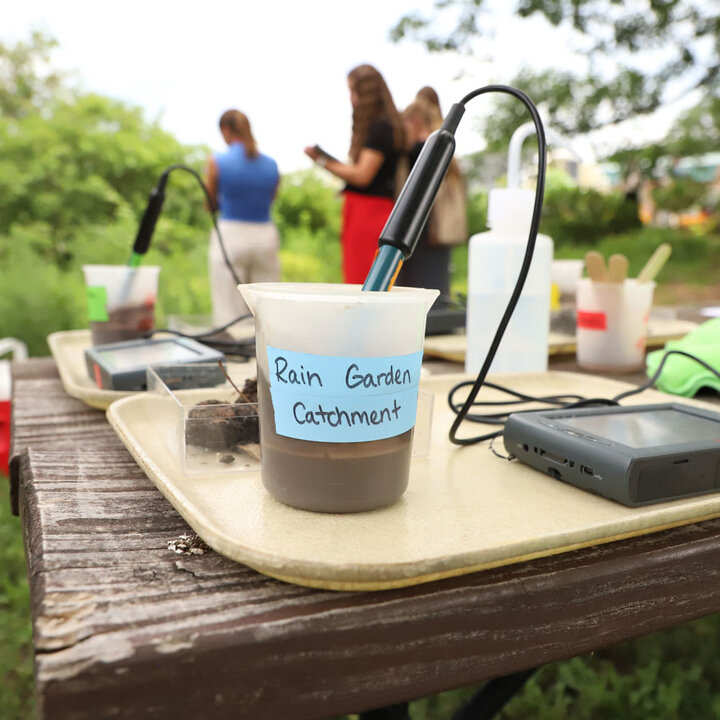 using technology to find patterns in plant and soil systems
