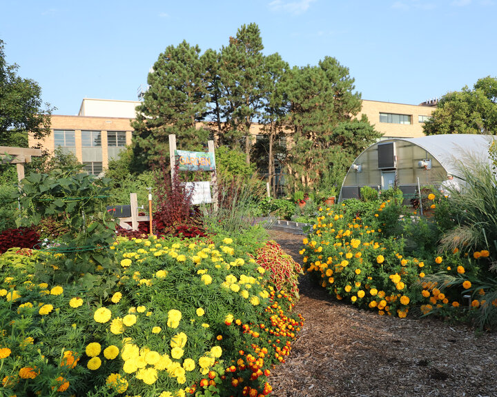 Backyard Farmer Garden
