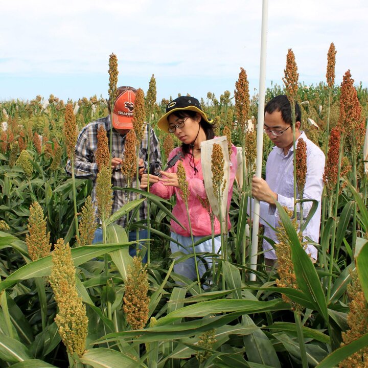 students working in field
