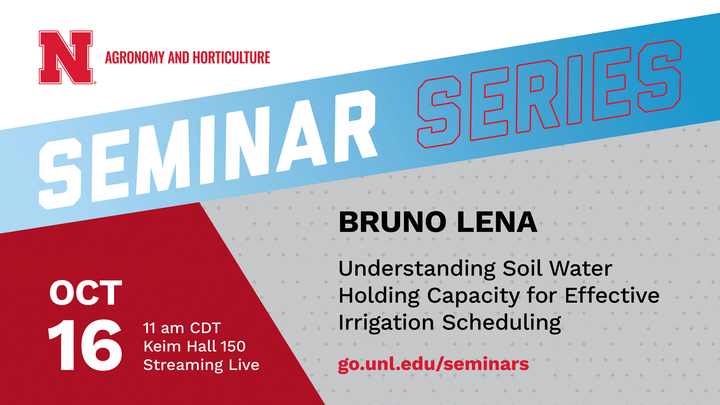 BRUNO LENA seminar