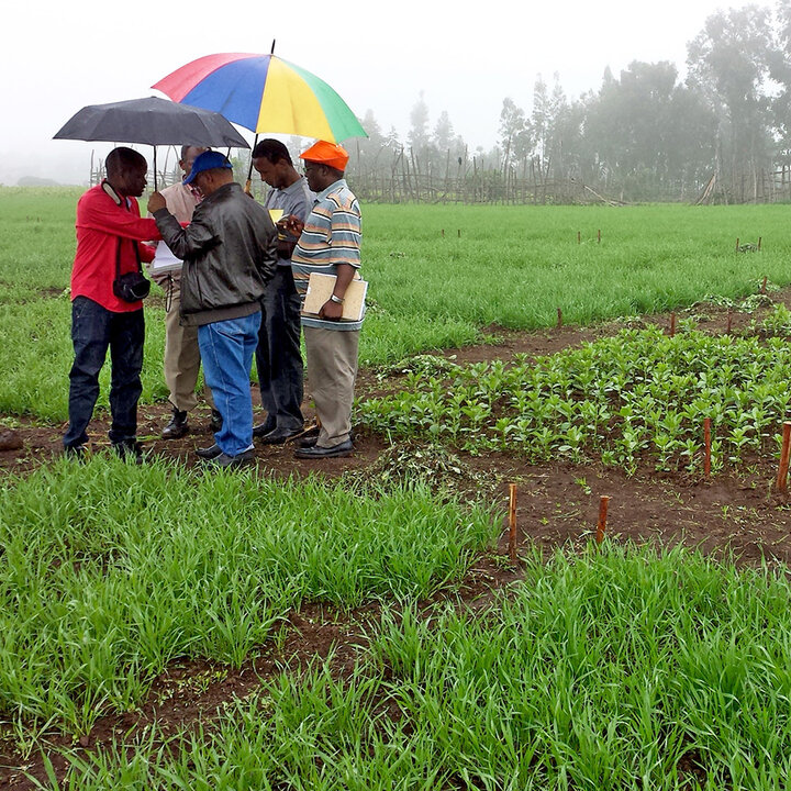 OFRA men in field