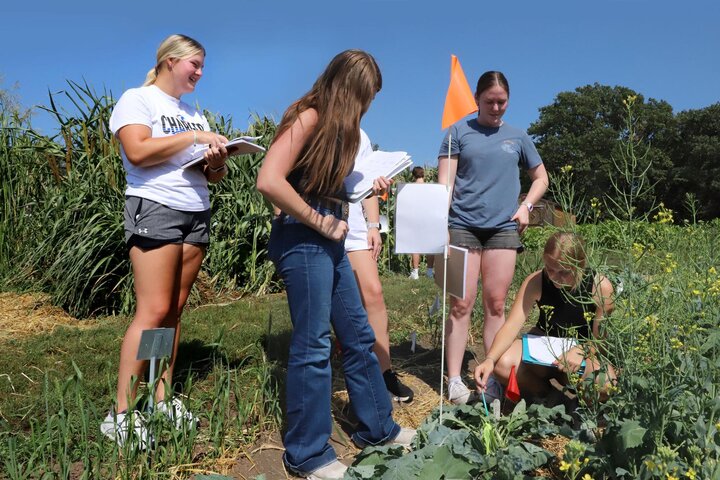 PLAS 132 Agronomic Plant Science Lab students