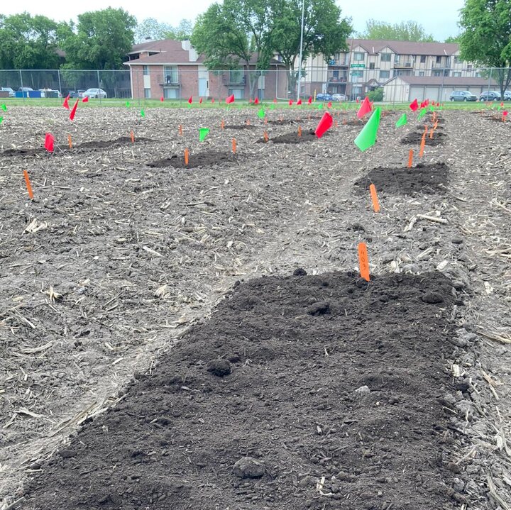 compost added to garden soils