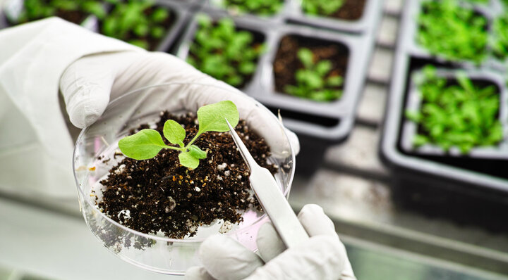 Plant Biology