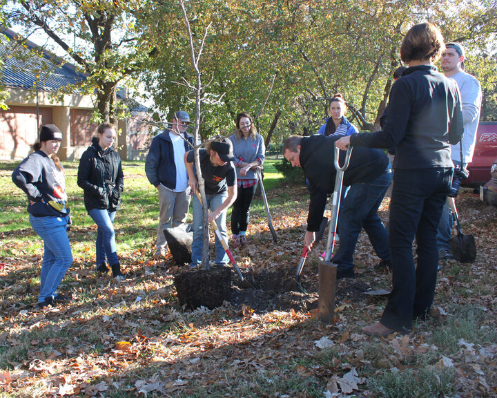 class planting trees