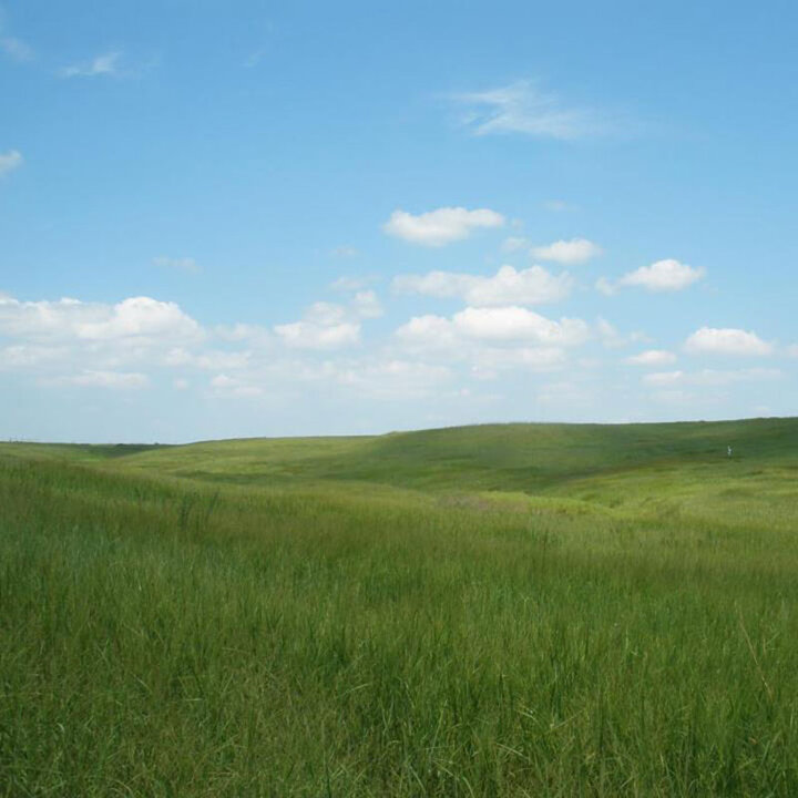 Nebraska Sandhills