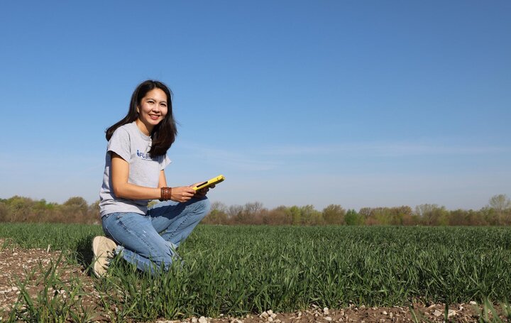 Improving Wheat Quality Sheryl Sierra