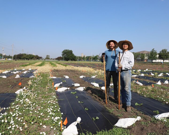 Soil Health Research