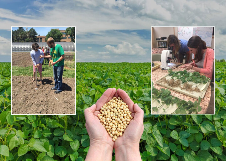 Soybean Institute Banner