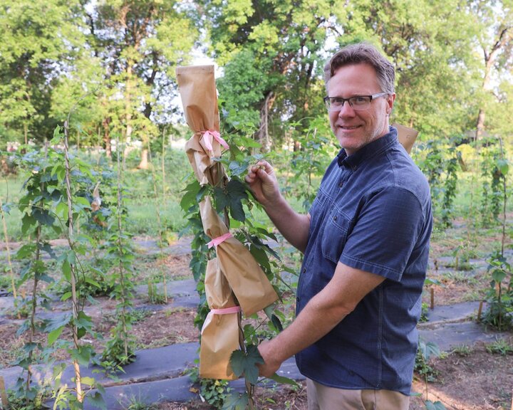 KEENAN AMUNDSEN in hops research plot