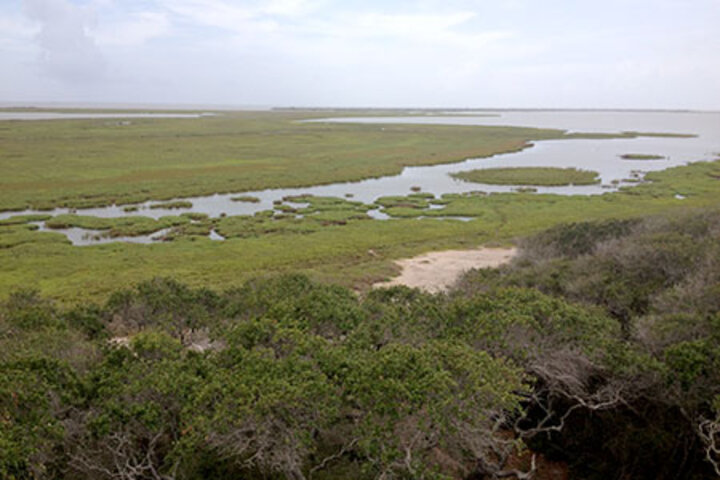 Aransas National Wildlife Refuge