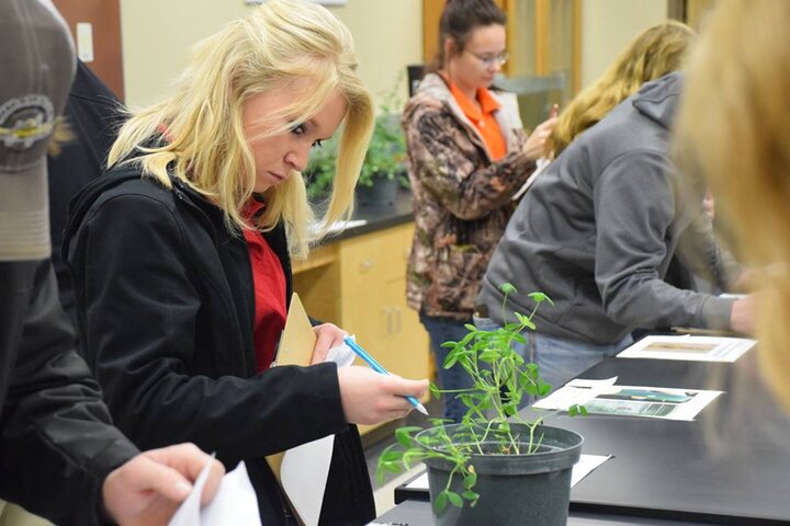 student crop judging practice