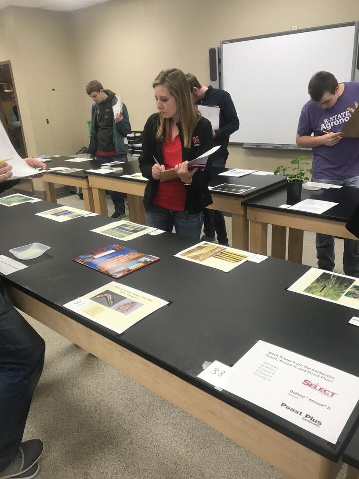 student judging crops