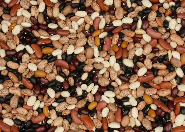 Drybeans photo