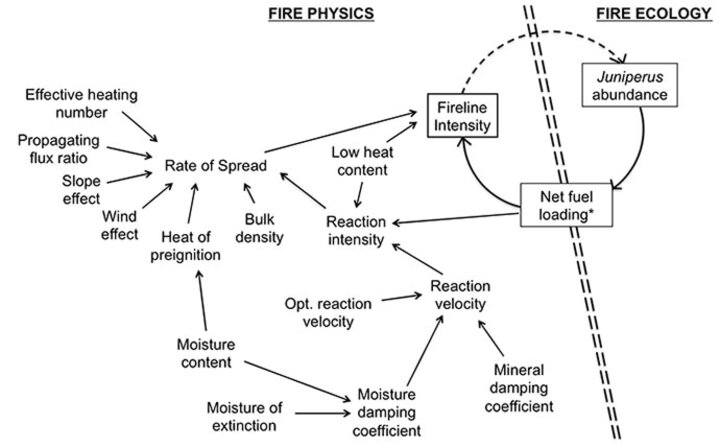 fire physics