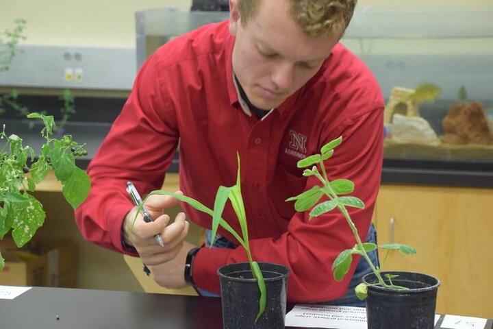 student inspecting plant