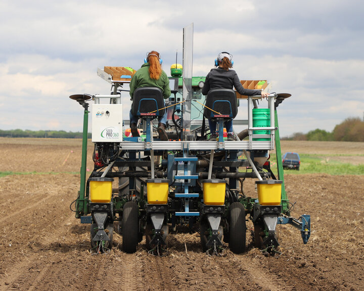 planting corn