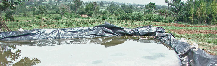 pond in Ethiopia