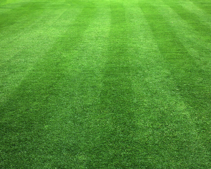 turf