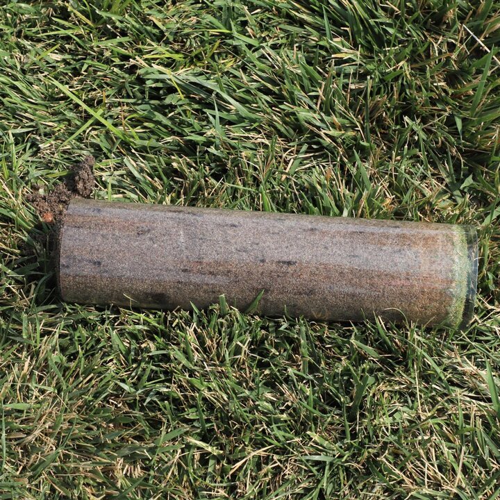 turf