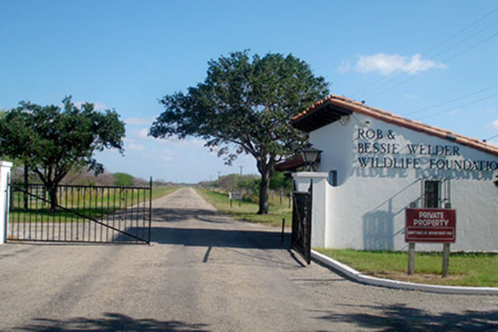 Welder WIldlife Refuge