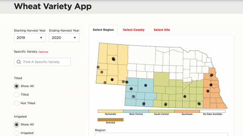The new Wheat Variety App makes reviewing variety testing data easier than ever before, with filters that enable app users to build, review and save a customized report.