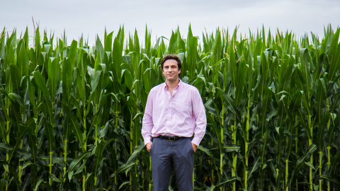 Patricio Grassini, professor of agronomy and horticulture at Nebraska, is co-leading a two-year project to compile and analyze a comprehensive inventory of global data on potassium for major crop systems around the world.