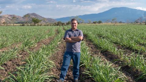 On his farm near Santa Ana,  El Salvador, Carlos Martinez stands in a sugarcane field plowed with a tractor and machinery he built.  Carlos Eduardo Somoza Vargas