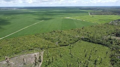 This aerial photo shows where environmentally fragile savannah has been converted to farm land in the Cerrado region of Brazil. Alencar Zanon | University Federal Santa Maria, Brazil