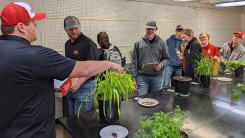 Logan Nelson (left) shares his plant ID strategy with his UNL Crops Judging Team at the Iowa State University crops judging contest on March 4 in Ames, Iowa.