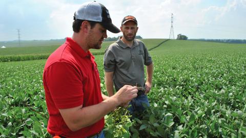 Nathan Mueller (left), Nebraska Extension educator, assesses an on-farm experiment with a producer participating in the Nebraska On-Farm Research Network. 