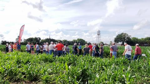 Amit Jhala discusses a project for control of herbicide-resistant Palmer amaranth in a field near Carleton, Nebraska. 