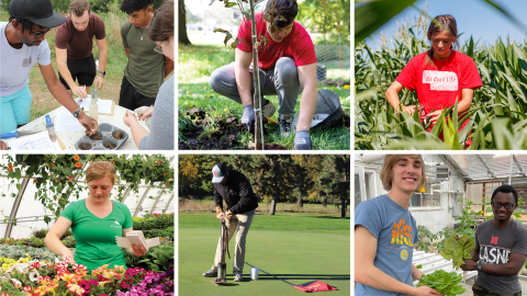 The goal of the PLAS program in Agronomy and Horticulture is to meet the increasing workforce needs by preparing students to be competent, confident, and adapting professionals in their career pathways of agronomy, horticulture, turfgrass science and management, and landscape design and management.