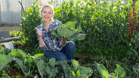 The Department of Agronomy and Horticulture and Nebraska Extension to again offer a student gardening competition this summer. | Shutterstock