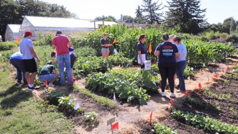 Agronomy and Horticulture students note that they receive well-rounded classroom instruction that carries over well into experiential learning in the field. Here, students study East Campus vegetable plantings. Lana Koepke Johnson | Agronomy and Horticulture