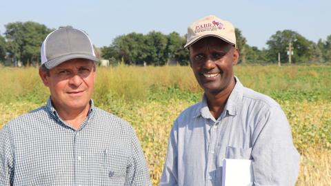 Nebraska's Carlos Urrea (left) and Teshale A. Mamo, a bean breeder and research coordinator from Tanzania, Africa, tour Urrea's research plots at Scottsbluff.