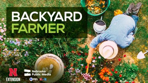 The popular lawn and garden series “Backyard Farmer” begins its 72nd season at 7 p.m. CT, Thursday, April 4 on Nebraska Public Media.