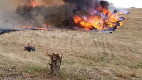 A prescribed burn beats back trees in Loess Canyons. Photo: Andy Moore