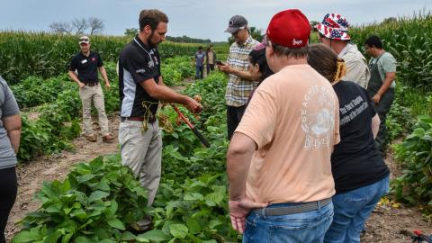 The Nebraska Soybean Board and Nebraska Extension partnered to equip teachers with the tools to answer the soybean question and much more through the Summer Soybean Institute (SSI). Teachers who attended explored ways to get students excited about soybeans and become “Soybean Enthusiasts” and participated in a hands-on course out at ENREEC plots this summer.