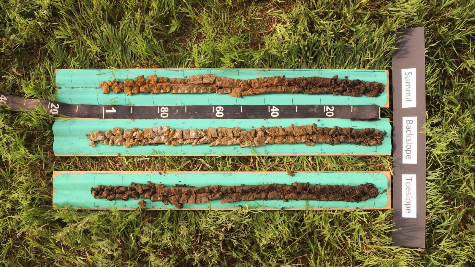 soil profiles at 9 mile prairie in Lancaster County, Nebraska