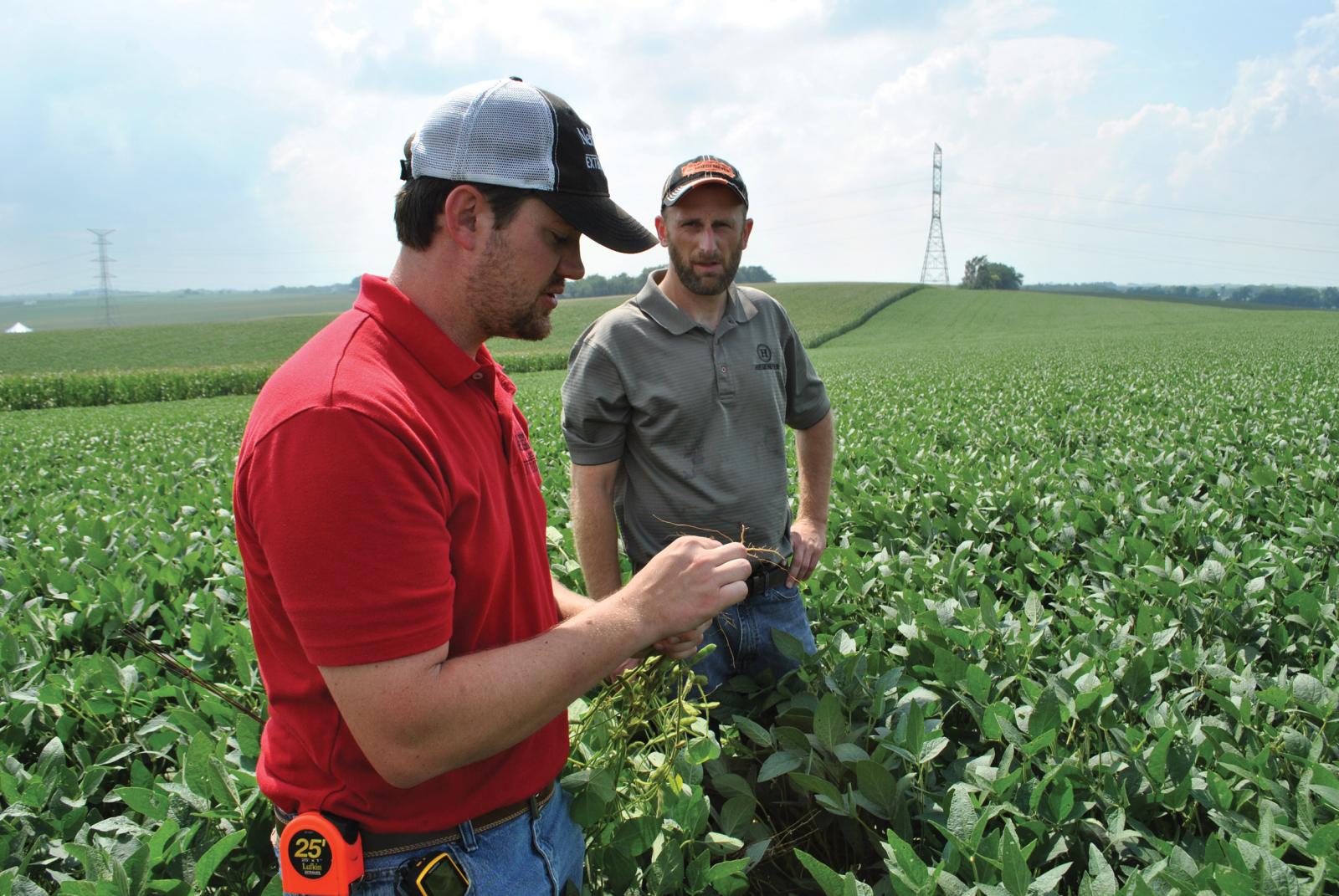 Nebraska Extension Educator Nathan Mueller (left) and farmer Ryan Siefken assess a soybean on-farm research study.