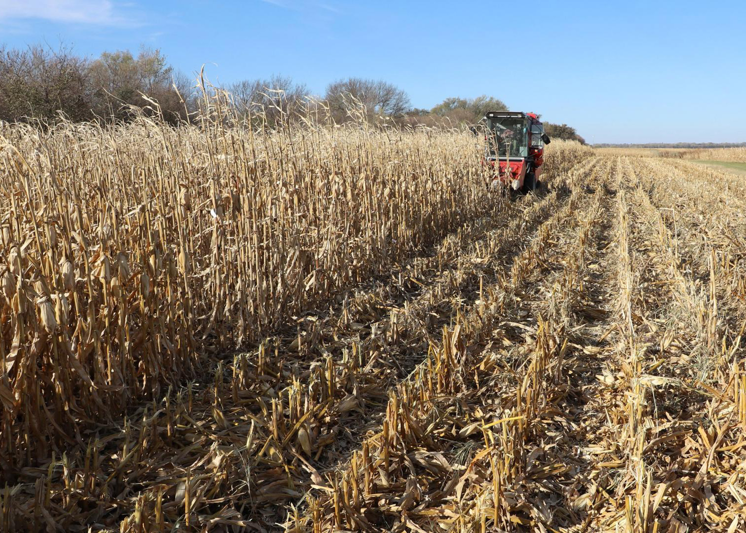 Nebraska Crop Management Conference